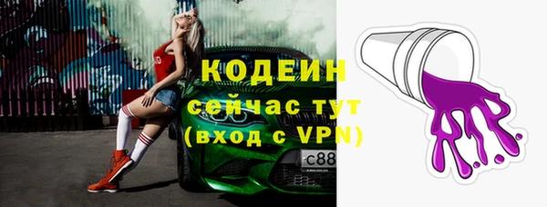 шишки Балахна