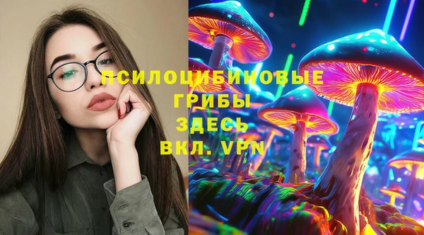 шишки Балахна