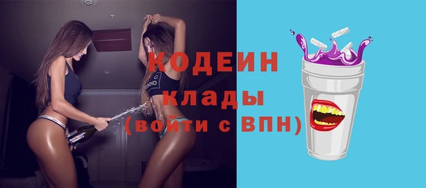 шишки Балахна