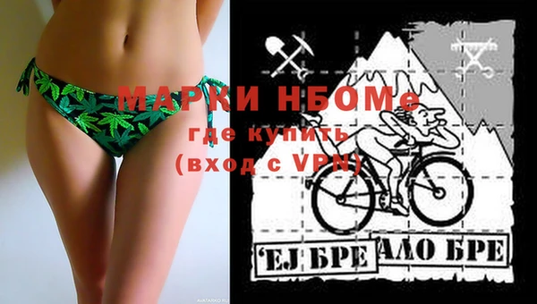 шишки Балахна